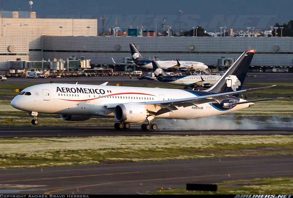 Aeromexico Dreamliner 787, Photo credit to Andrés Bravo Herrera from Airlines.net